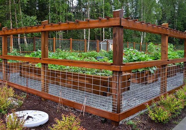 Garden Fencing